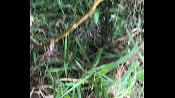 Novinha com tesao topo entrar no terreno e foder meio do mato