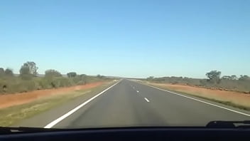 A funcking kangarooo oooooooooooo