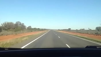 A funcking kangarooo oooooooooooo