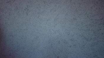 Panties try on haul thong only ass shaking teasing free