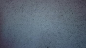 Panties try on haul thong only ass shaking teasing free