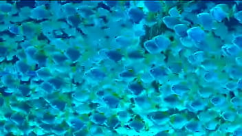 Putaria&andarilios thumbnail