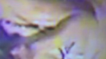 My wife masturbation and my penisextensor