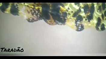 Gozando no cu da puta