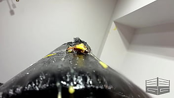 Ballbusting mood chicken nightmare