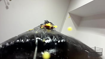 Ballbusting mood chicken nightmare