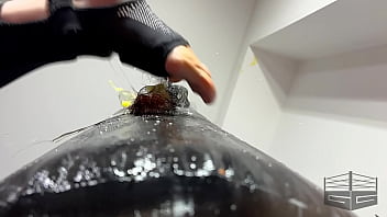 Ballbusting mood chicken nightmare