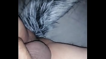 Anal fox