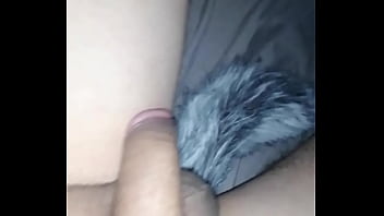 Anal fox