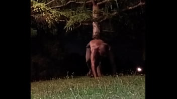 Cuming for whoever's birthday is today and around this time of month or year also i can always still show up to see how much fluids i have left in me for free i promise part 9