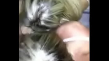 Luck guy with 2 blonde licking your dick