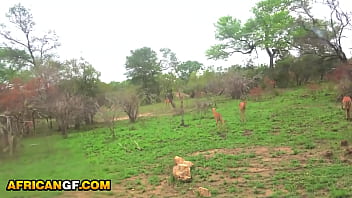 Big tits black gf pussy pounded pov missionary by hung white bf in camper van