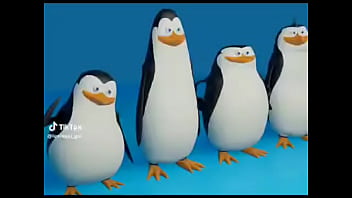 Nonton Los Penguinos Me La Van A Mascar thumbnail