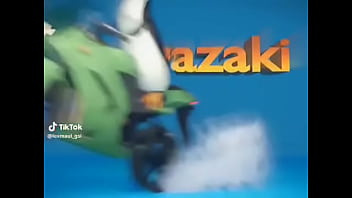 Los penguinos me la van a mascar