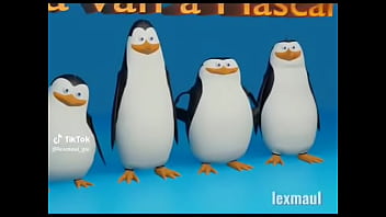 Los penguinos me la van a mascar