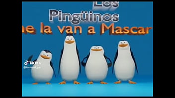 Los penguinos me la van a mascar