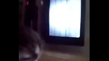 Tea rikanovic jebačica