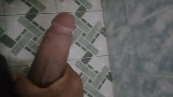 Mi pene