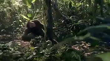 Yo en ingles solo se decir yes pensé en el libro de herman hess soy un looser como boyscout ¡y de la vida me dejare out