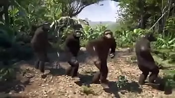 Yo en ingles solo se decir yes pensé en el libro de herman hess soy un looser como boyscout ¡y de la vida me dejare out