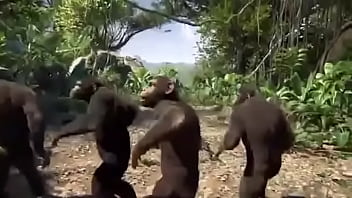 Yo en ingles solo se decir yes pensé en el libro de herman hess soy un looser como boyscout ¡y de la vida me dejare out