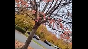 Cuming out for either june or october gay pride month about other gay looking and sounding things i did on social media once 13