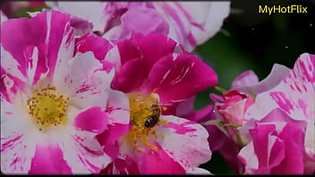 Bengali Sex Story thumbnail