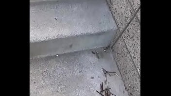 Come party update #37 2024 03 25t21 45 49 000z