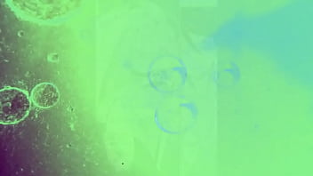 Reseñas con ñ 01 lineas de blanco