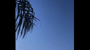 Update #88 2023 03 27t21 29 01 000z