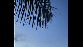 Update #88 2023 03 27t21 29 01 000z