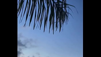 Update #88 2023 03 27t21 29 01 000z