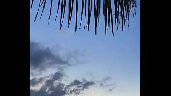 Update #88 2023 03 27t21 29 01 000z