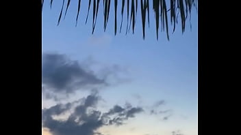 Update #88 2023 03 27t21 29 01 000z