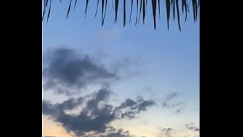 Update #88 2023 03 27t21 29 01 000z