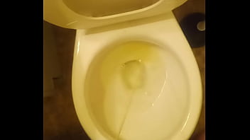 Pee in the toilet