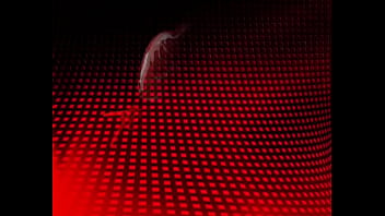 Espera próximamente nuevo contenido