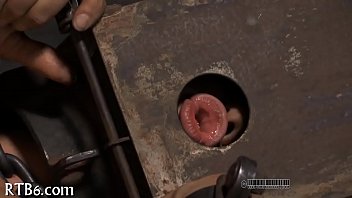 Taming a leather pet