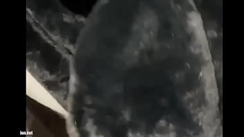 ライブチャット ライブチャット