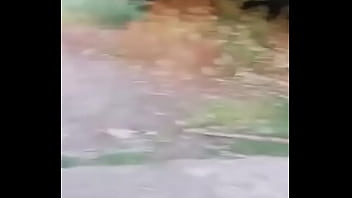 Indiano comendo tua mãe