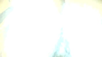 Nice little pussycat