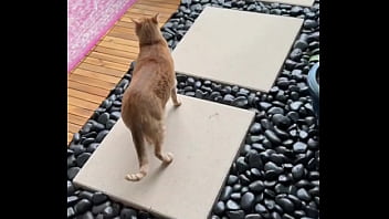 Happy international cat day from my cats to yours