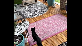 Happy international cat day from my cats to yours