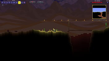 Terraria true melee