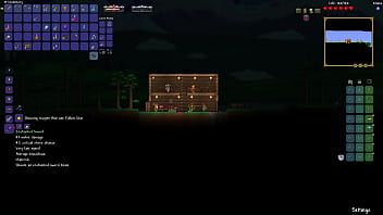Terraria true melee