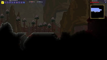 Terraria true melee