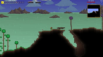 Terraria true melee