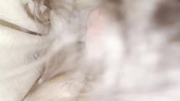 Sucking cock and play with the balls hd feb 06 2025