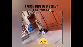 Tiktok cold moment complition part 1