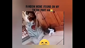 Tiktok cold moment complition part 1